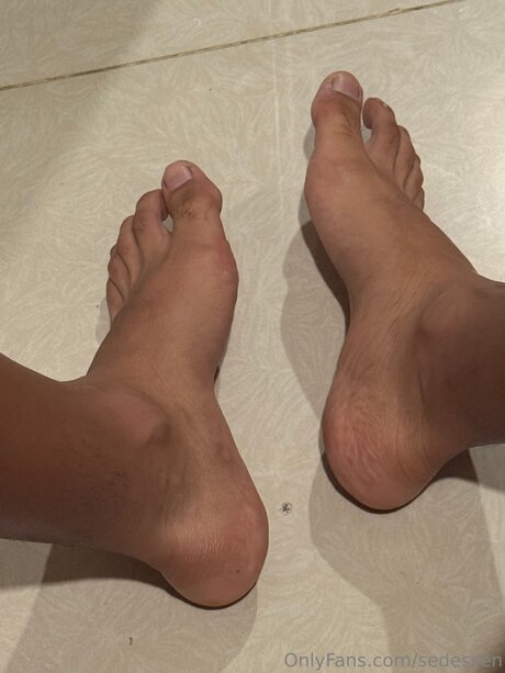 Sedessen nice star galleries