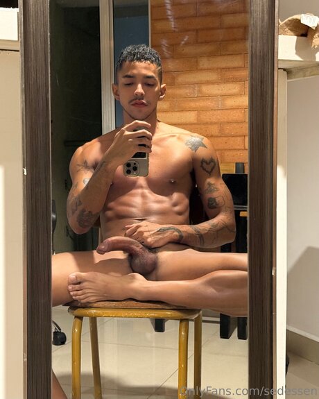 Sedessen model galleries