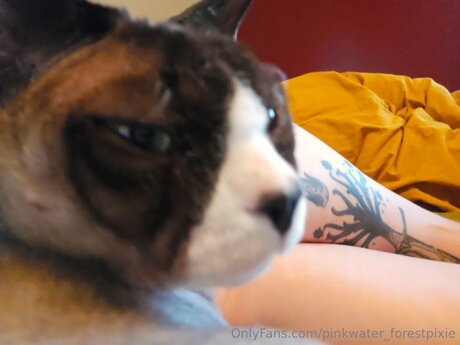 asian feet onlyfans art xxx img