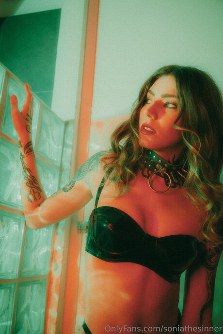 Soniathesinner pornstar top photo