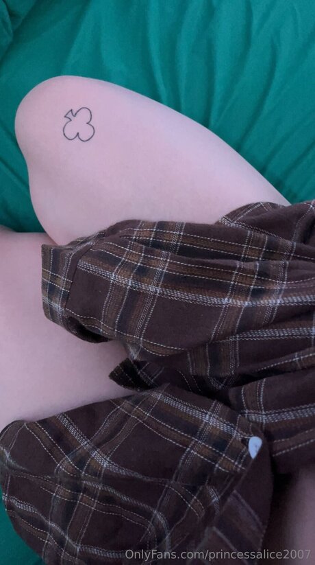 Princessalice2007 nice model image