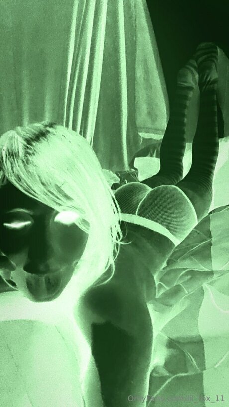 Lil Fox 11 model best gallery