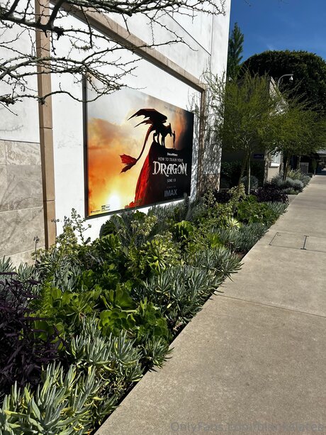 Blankslatee exclusive pornstar galleries