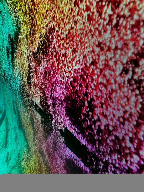 Blankslatee model naked archive