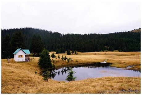 Mickey93 model free gallery