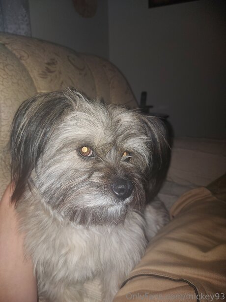 Mickey93 pornstar perfect images