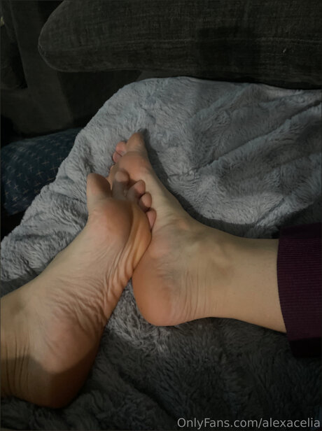 Alexacelia Photo Gallery