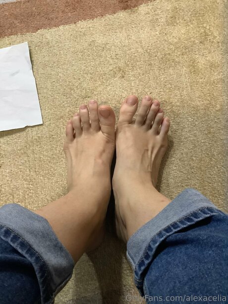 Alexacelia pornstar pretty archive