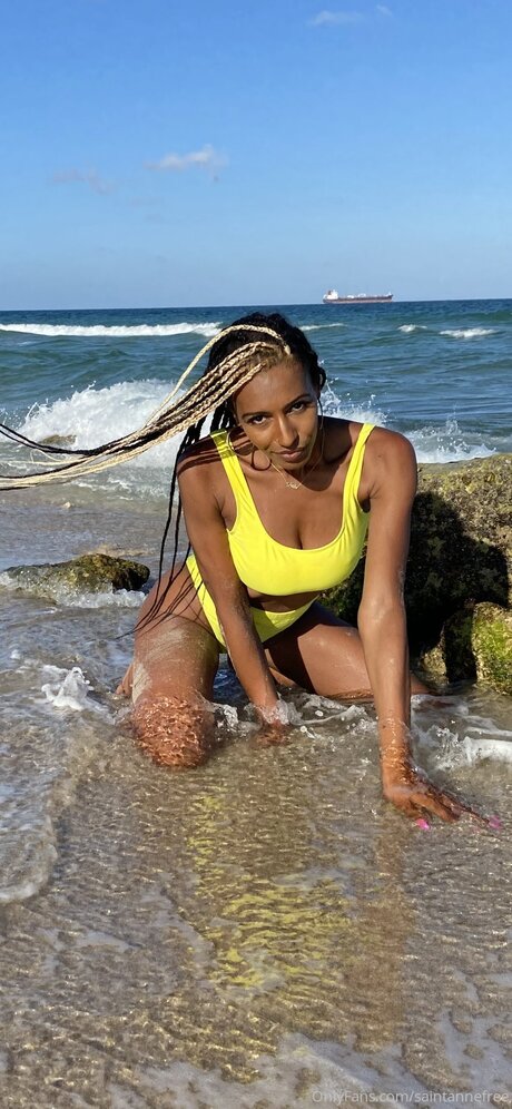 Saintannefree pornographic actress archive