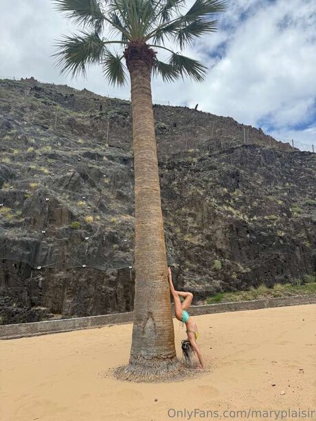 Maryplaisir star porn picture