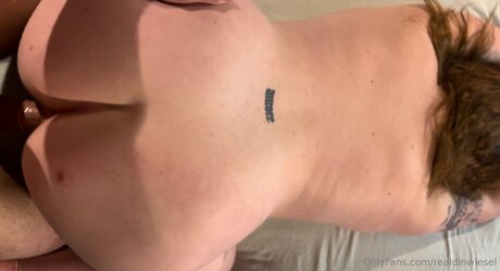 Realdinwiesel star perfect archive