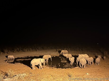 ebony bbw onlyfans perfect galleries