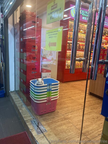 voyeur onlyfans art naked galleries