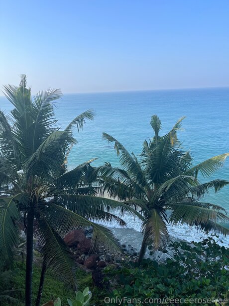 sex scene onlyfans free sexy photos