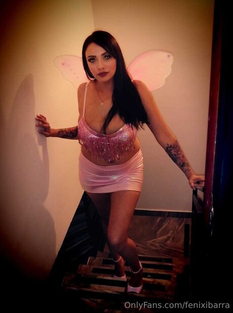 Fenixibarra art pornstar archive