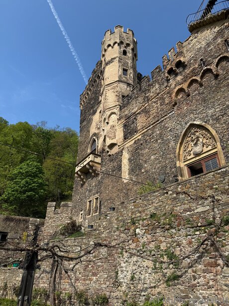 french amateur onlyfans pornographic galleries