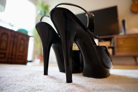 The Riley Jay perfect star picture