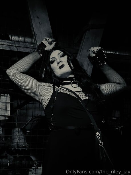 The Riley Jay art star pics