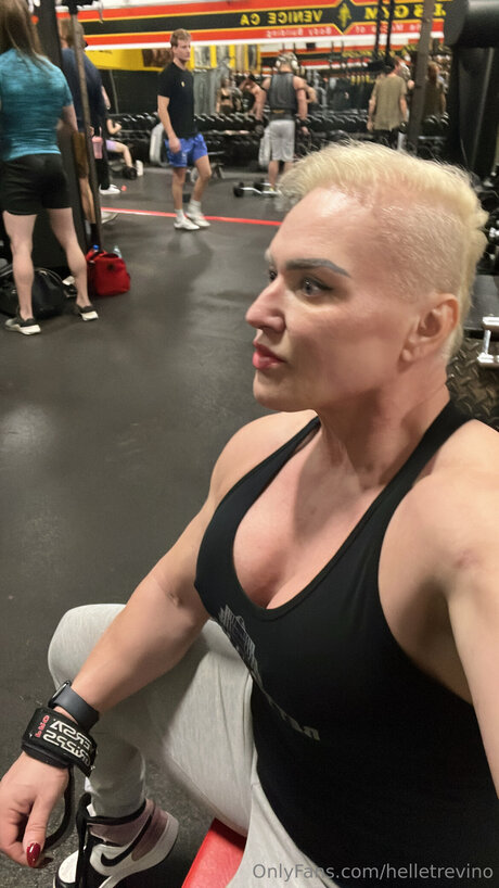 Helletrevino pornstar art gallery