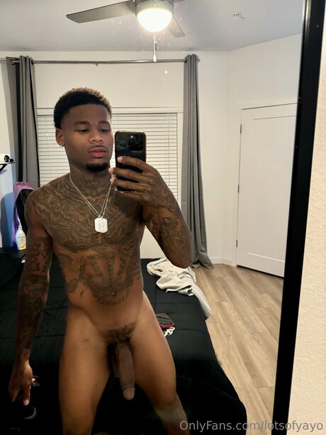 Lotsofyayo high quality pornstar pics