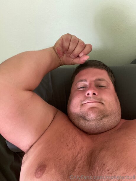 Thebulkinghog naked star galleries