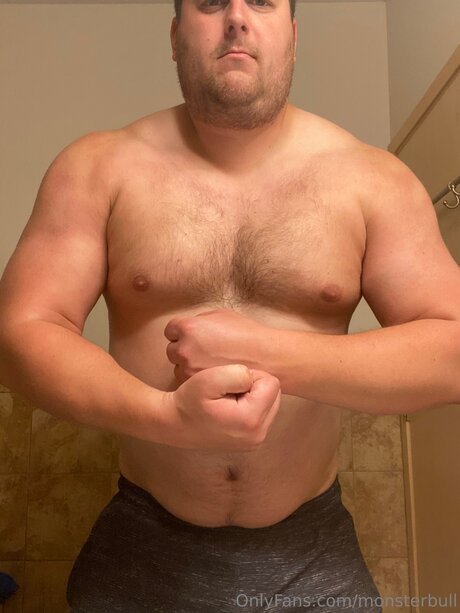 Thebulkinghog model top images