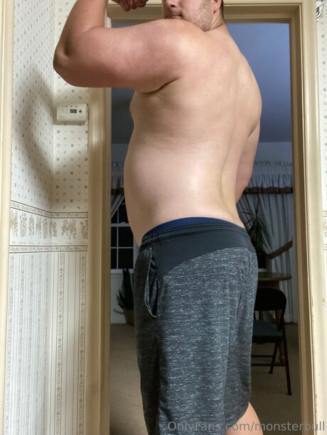 Thebulkinghog art star pic