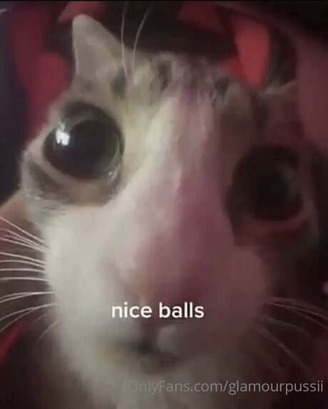 Glamourpussii nice model pics
