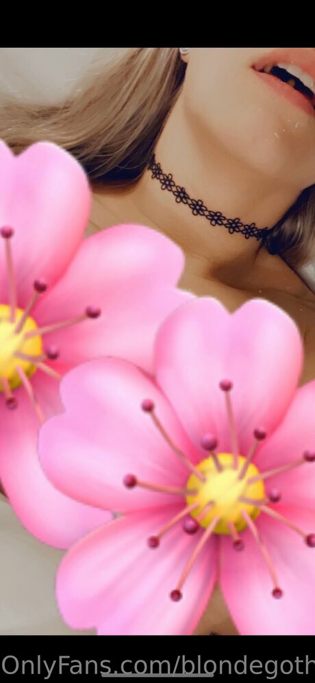 Blondegoth1 sexy star pictures