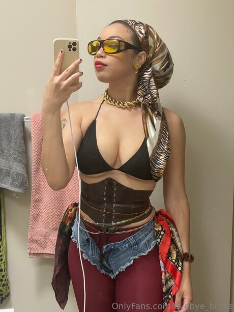 Byebye Birdie model image