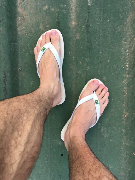 Calsiffer pornographic star image