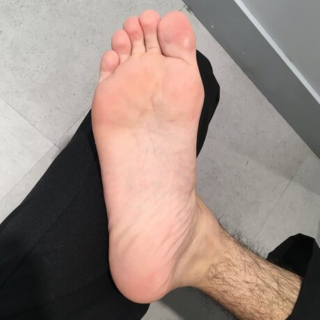 Calsiffer model perfect pictures