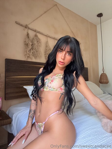 Sweetcandacee star naked images
