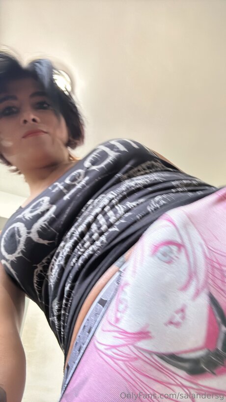 Salandersg hd model picture