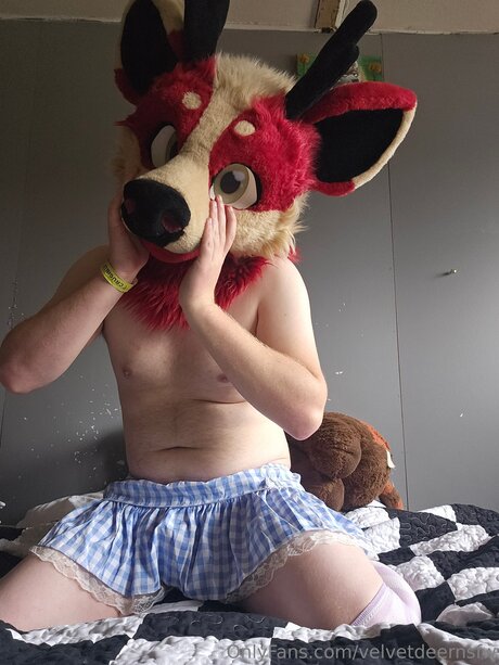 Velvetdeernsfw pornstar free image