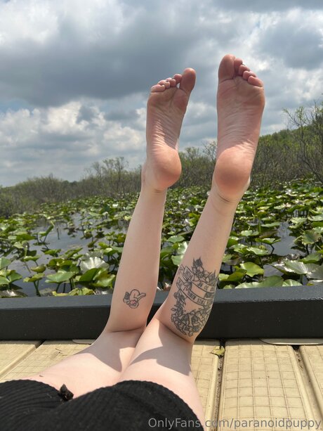 hairy anal onlyfans hd pic