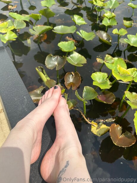 big booty black girls onlyfans beautiful porn photos