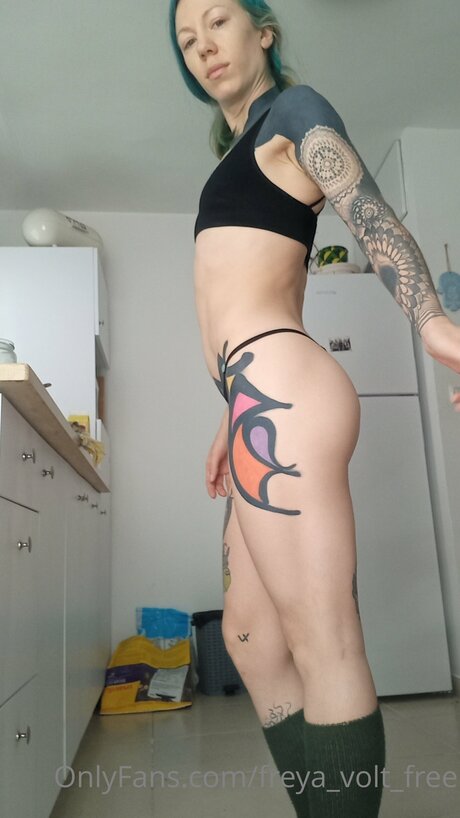 Freya Volt Free xxx star gallery