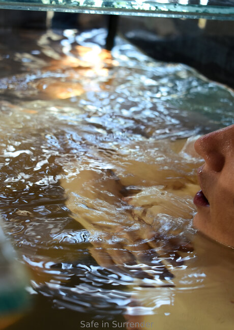 Safeinsurrender top pornstar pics