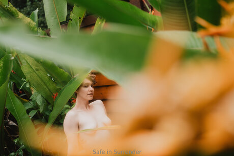 Safeinsurrender star art gallery