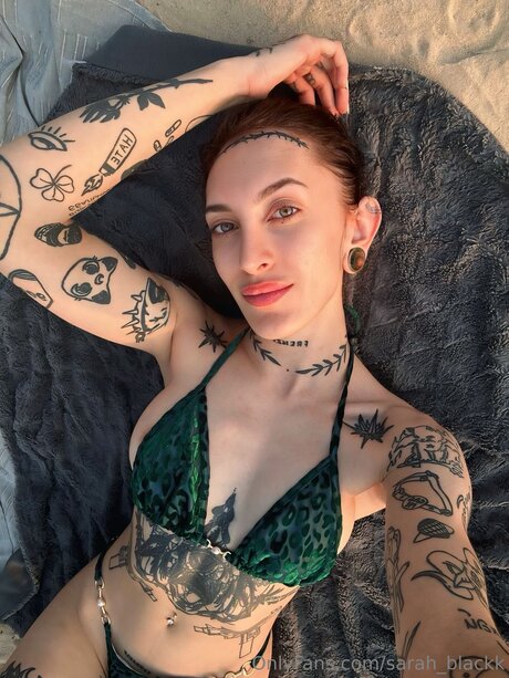 Sarah Blackk free pornstar archive