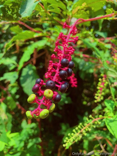 college teacher onlyfans exclusive images