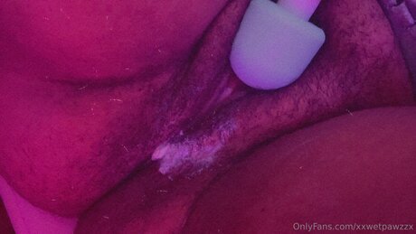 Xxwetpawzzx actress img