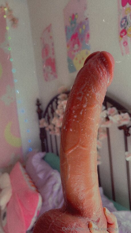 Xxwetpawzzx hd model image