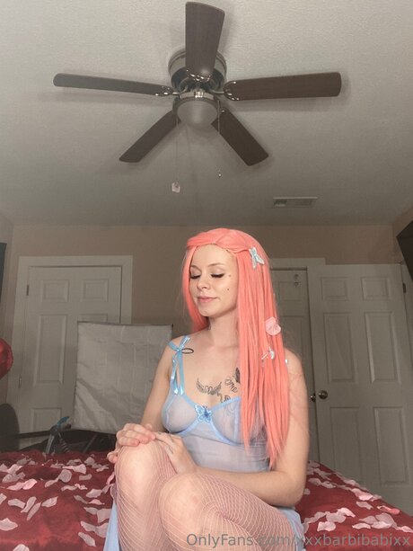Xxxbarbibabixx hd model archive