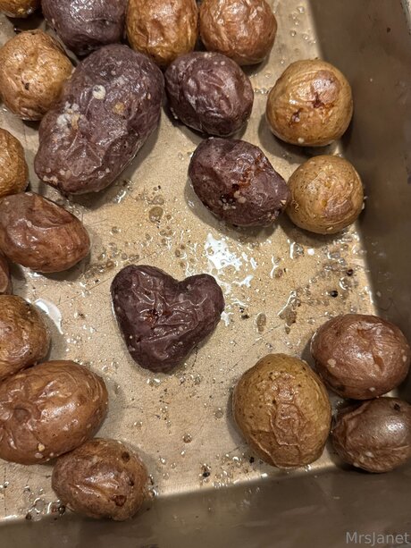 Mrsjanetm model hd galleries