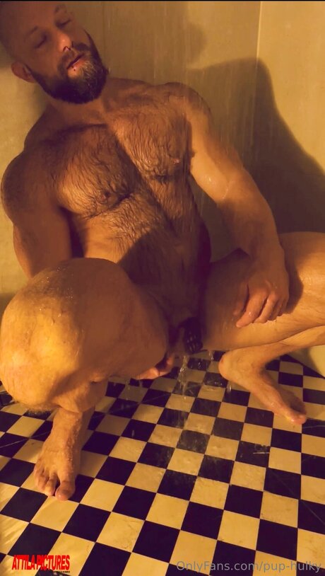 Pup Hulky Photo Gallery