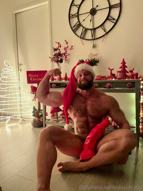 Pup Hulky free star galleries