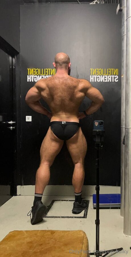 Pup Hulky model art pic