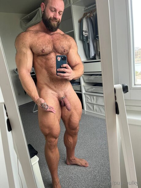 Pup Hulky star porn archive